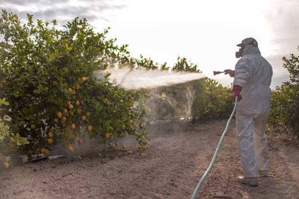 Pest Control for Restaurants in Zellwood, FL