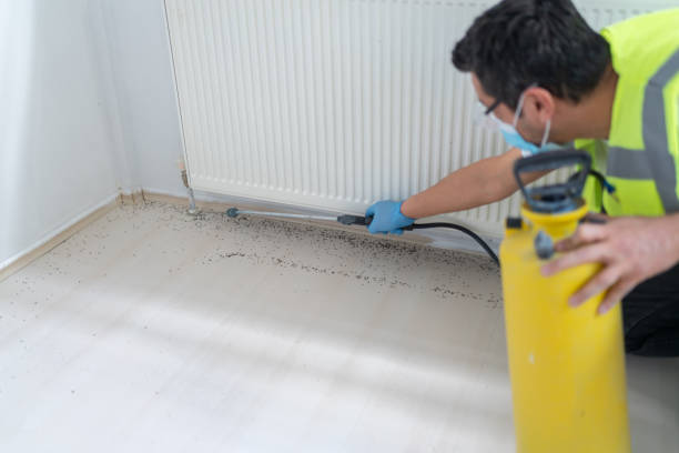 Pest Control Cost in Zellwood, FL
